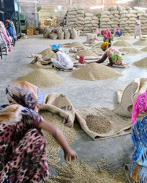 Ethiopia | Harrar