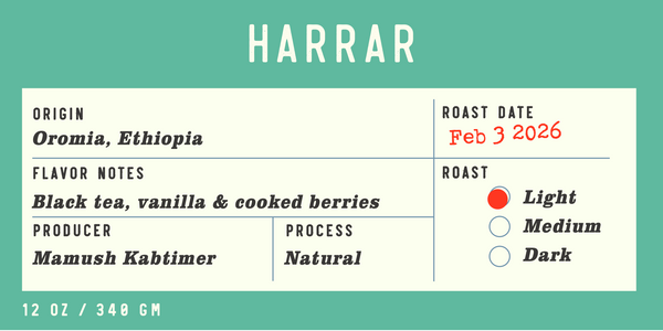 Ethiopia | Harrar