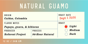 Colombia | Natural Guamo